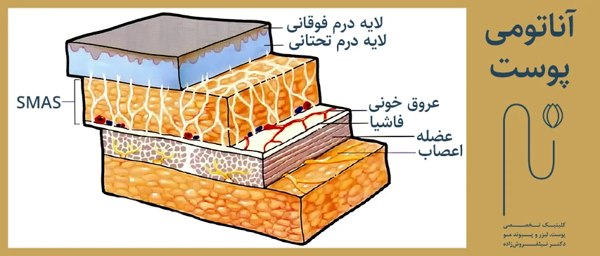 نحوه انجام جلسه‌های درمانی هایفو اولترا تراپی راد