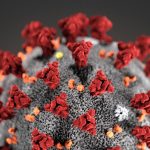 تحقیقات دانشمندان چینی و آمریکایی در زمینه خطرات مربوط به عملکرد ویروس کرونا