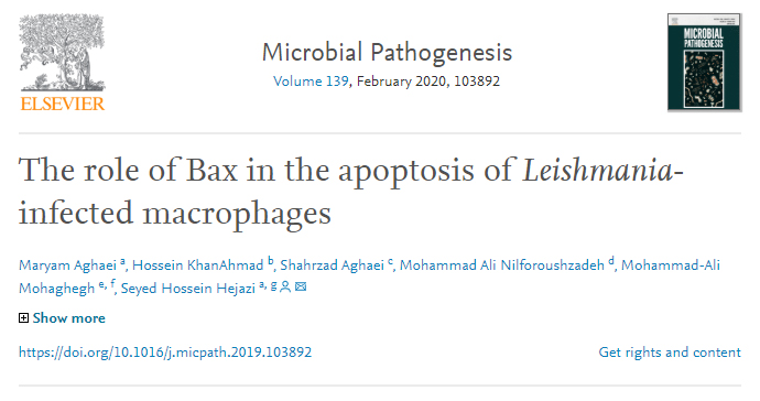 The role of Bax in the apoptosis of Leishmania-infected macrophages