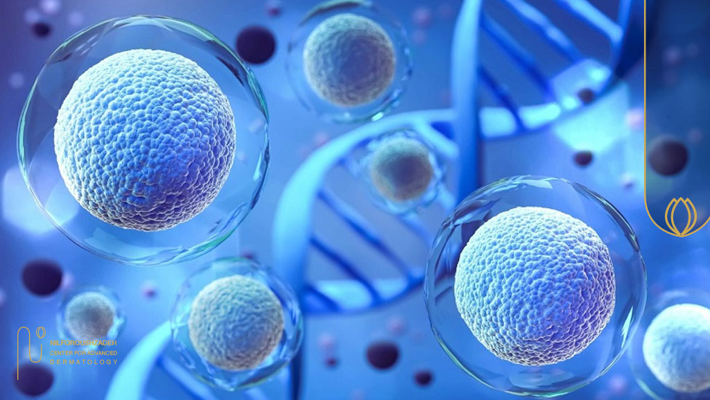 کاشت مو با سلول بنیادی