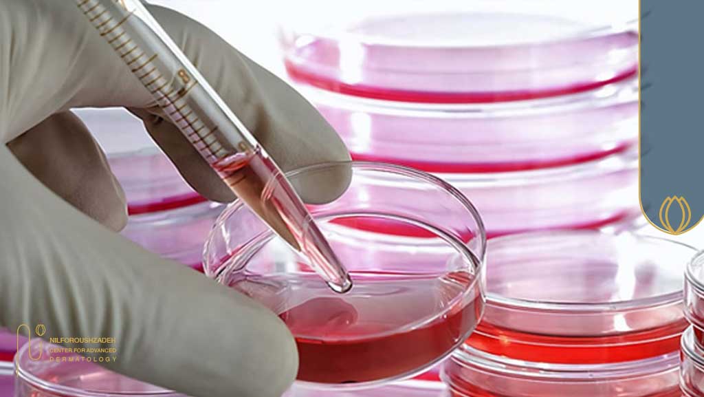 جوانسازی پوست بر پایهٔ علم سلولهای بنیادی