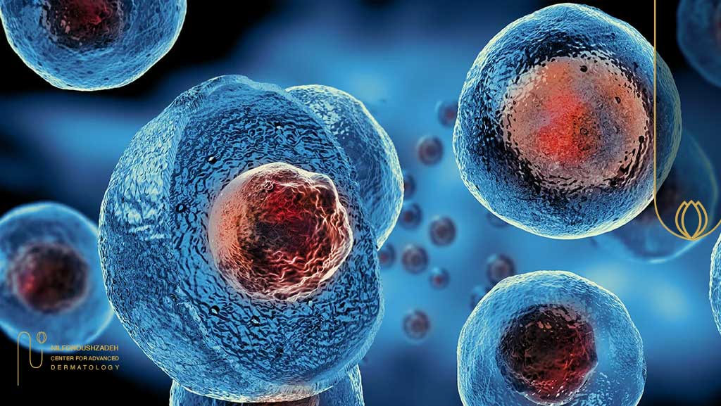 بازسازی مو با رویکرد سلولی و بازساختی