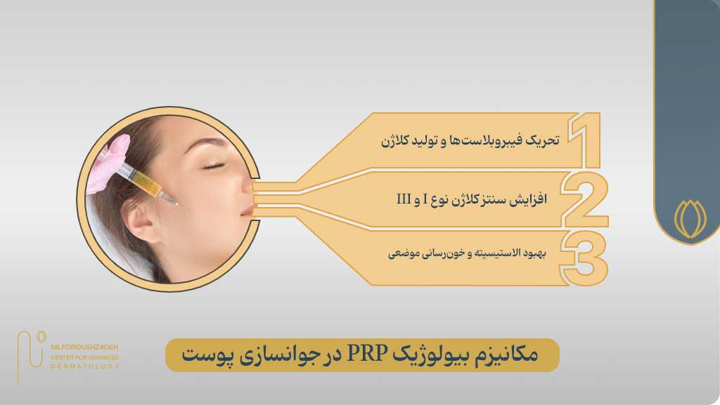 PRP چیست و چگونه باعث جوانسازی پوست میشود؟