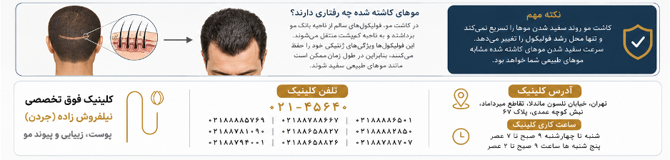 تفاوت موهای طبیعی و موهای کاشته شده از نظر سفید شدن چیست؟